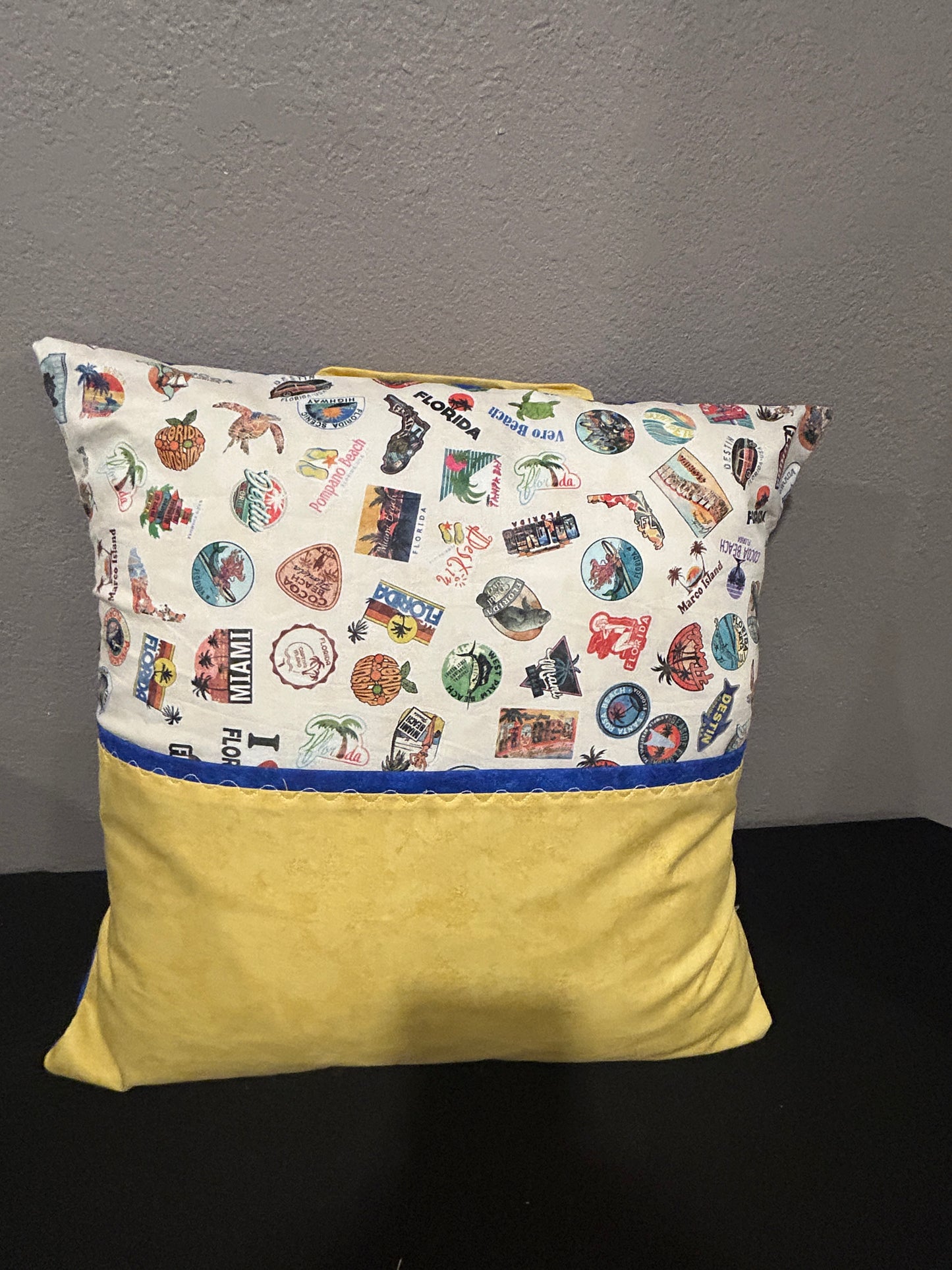 Florida State Pocket Pillow